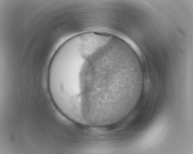 X0000115421102200911241343