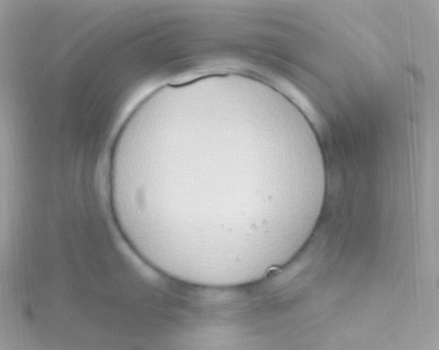 X0000115421103200911241343