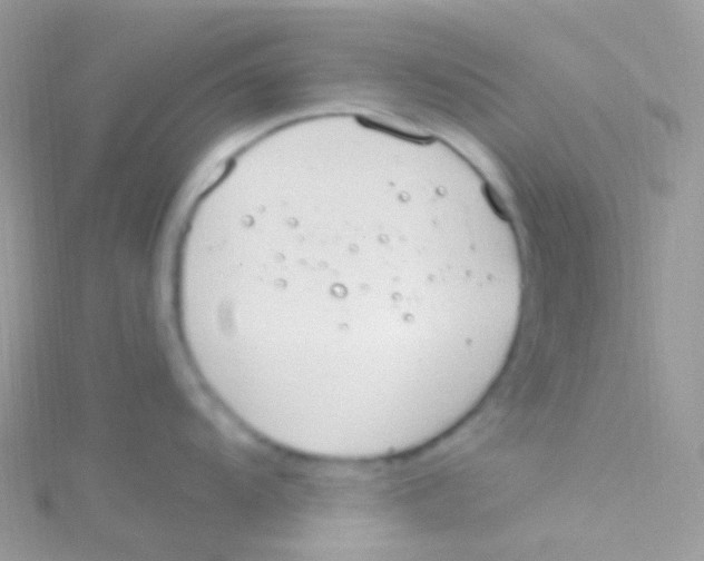 X0000115421104200911241343