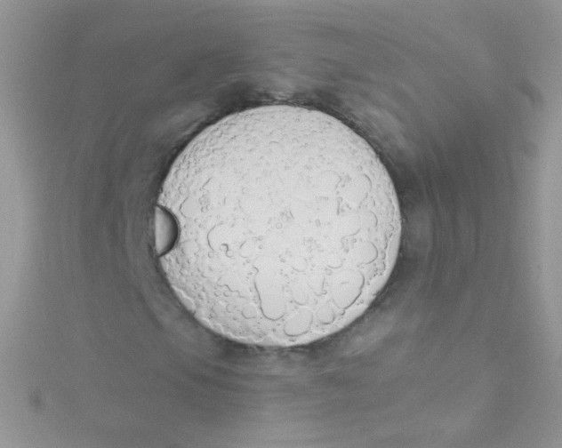 X0000115421105200911241342