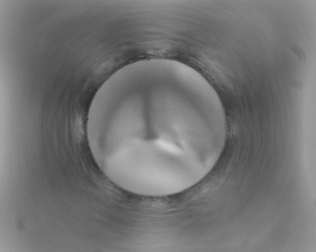 X0000115421106200911241342