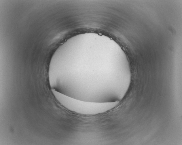 X0000115421110200911241342