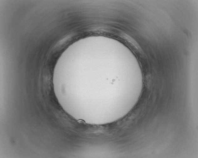 X0000115421111200911241342