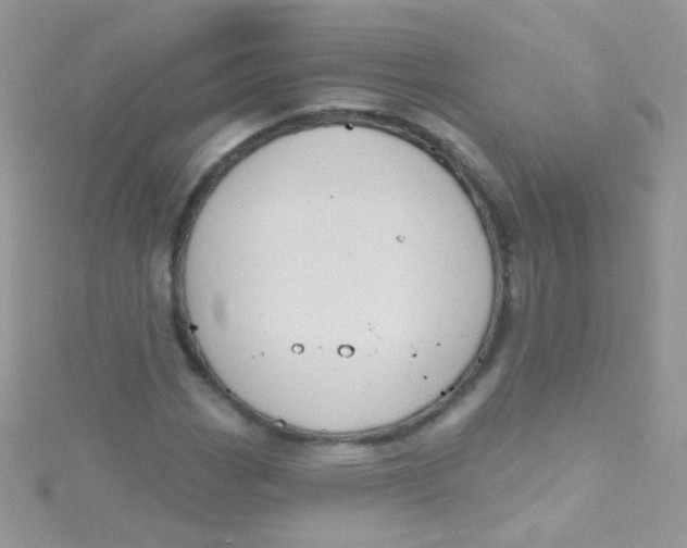 X0000115421113200911241342