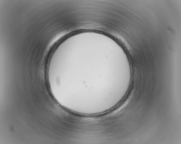 X0000115421114200911241342