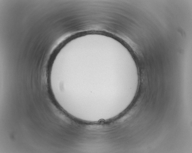 X0000115421118200911241342