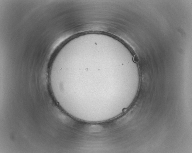 X0000115421119200911241342