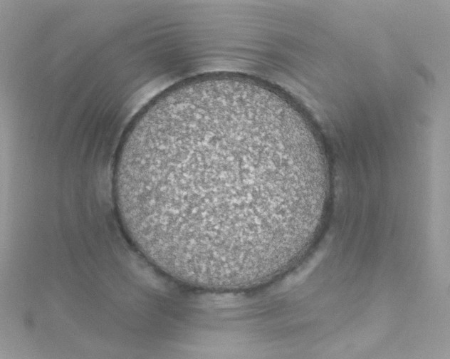 X0000115421121200911241342