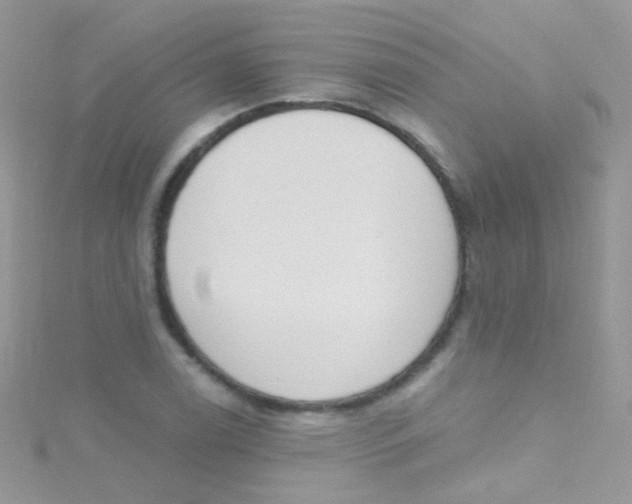 X0000115421122200911241342