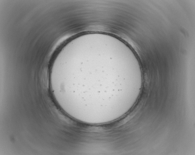 X0000115421123200911241342