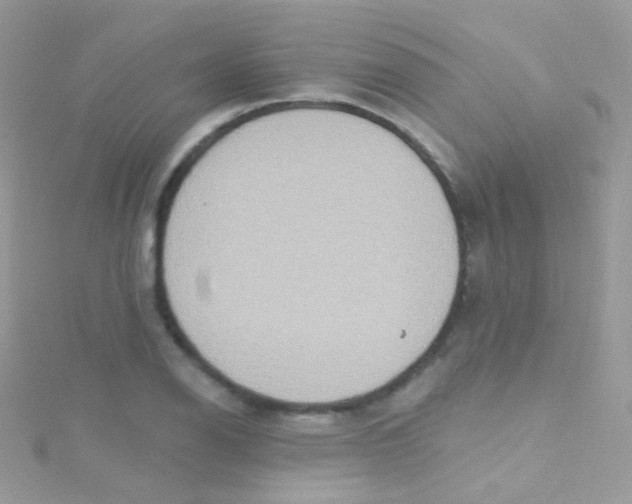 X0000115421126200911241342