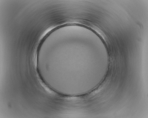 X0000115421127200911241342