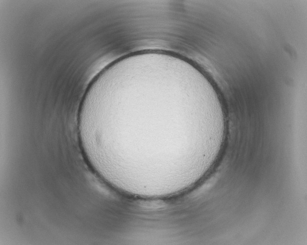 X0000115421129200911241342