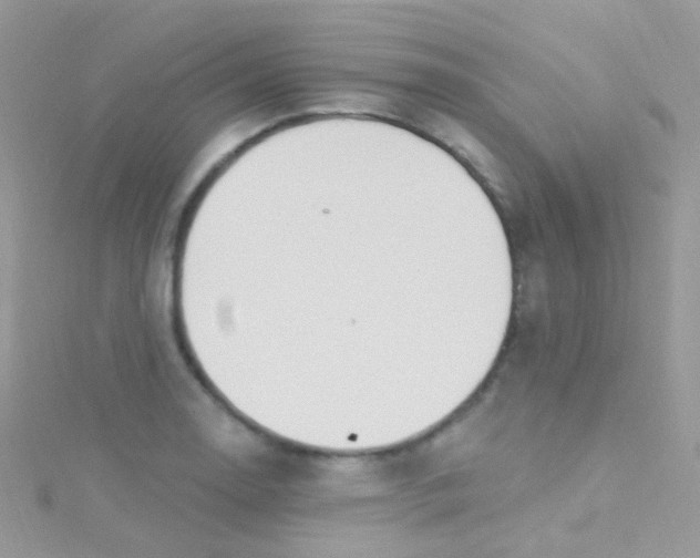 X0000115421130200911241342