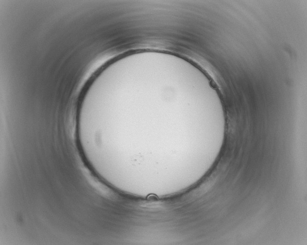 X0000115421131200911241342