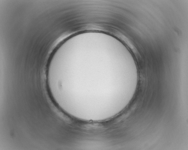 X0000115421133200911241342