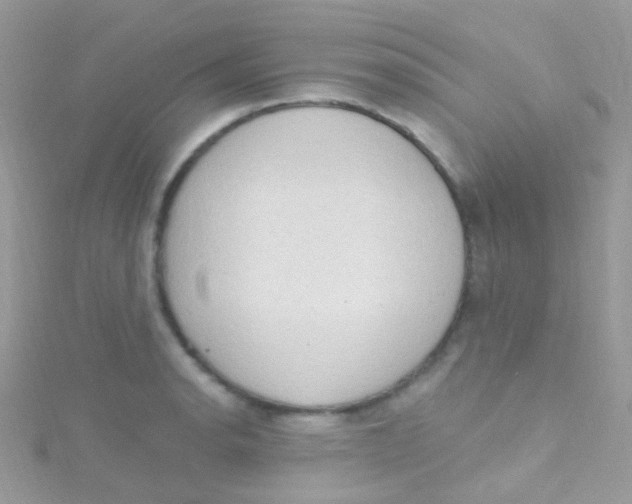 X0000115421134200911241342