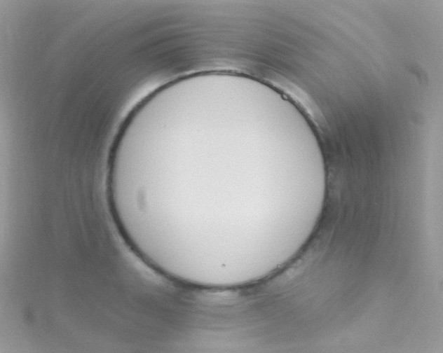 X0000115421135200911241342