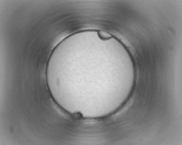 X0000115421137200911241343