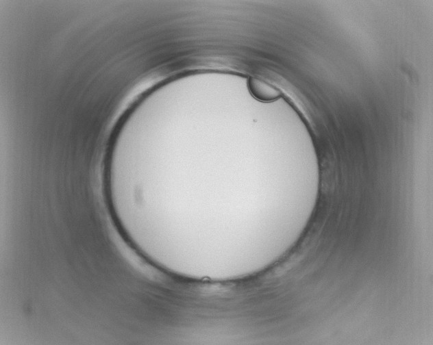 X0000115421139200911241343