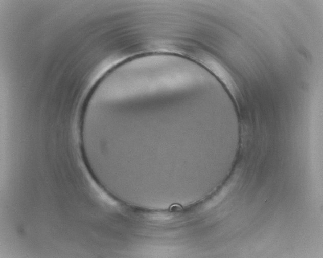 X0000115421141200911241343