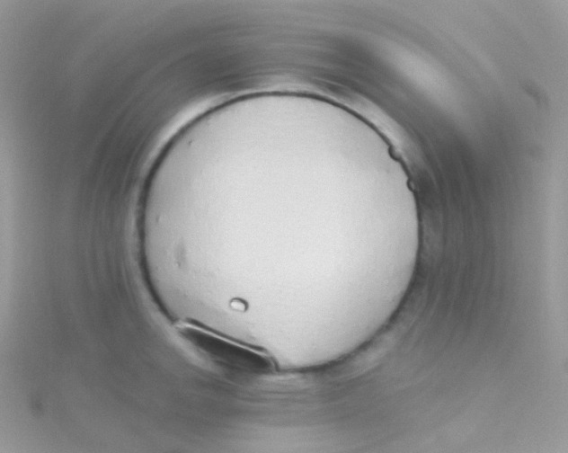 X0000115421142200911241343