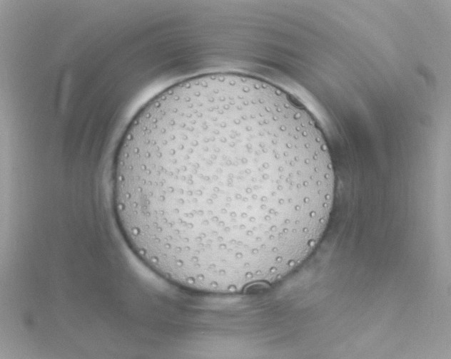 X0000115421143200911241343