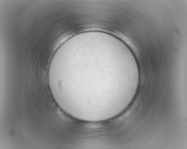 X0000115421145200911241343