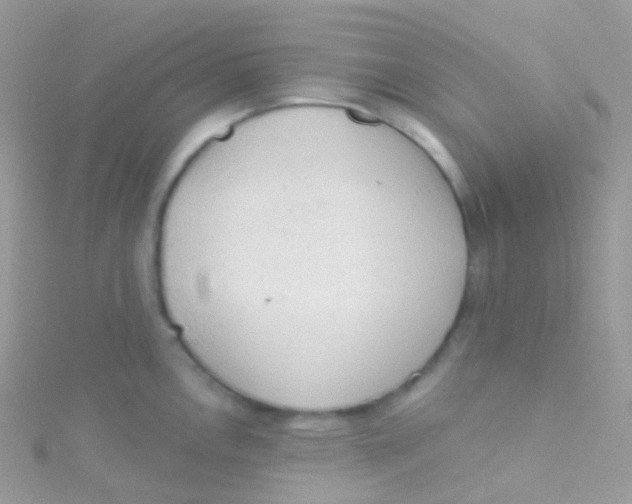 X0000115421146200911241343