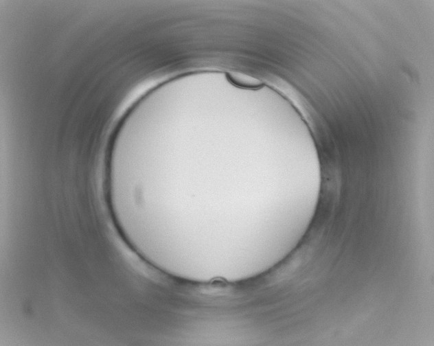 X0000115421147200911241343