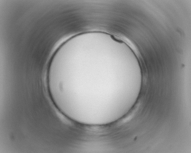 X0000115421149200911241343