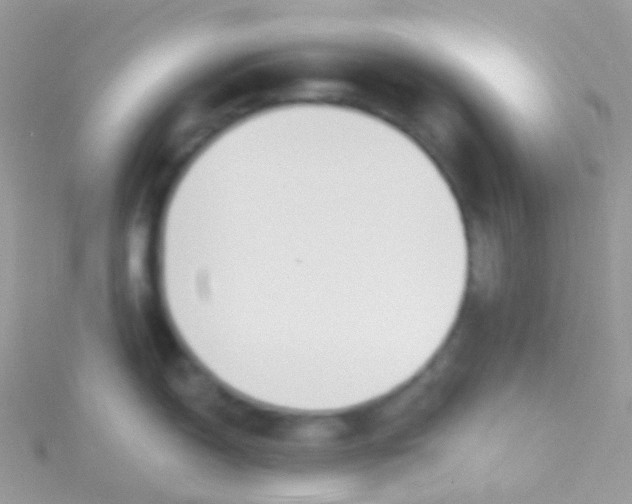 X0000115421150200911241343