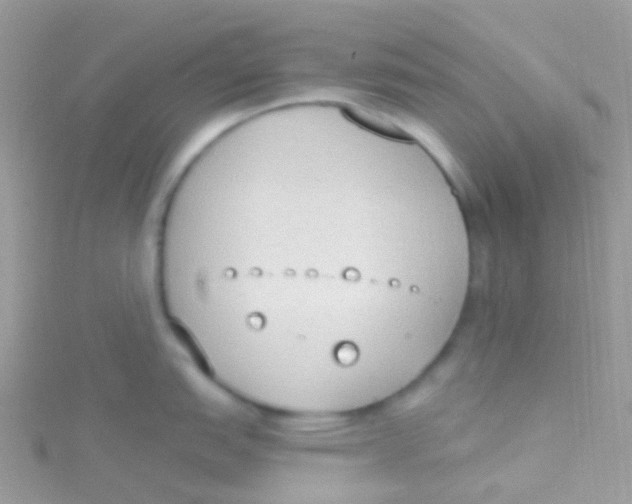 X0000115421151200911241343