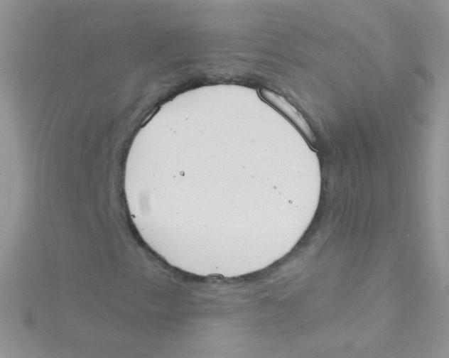 X0000115421153200911241342