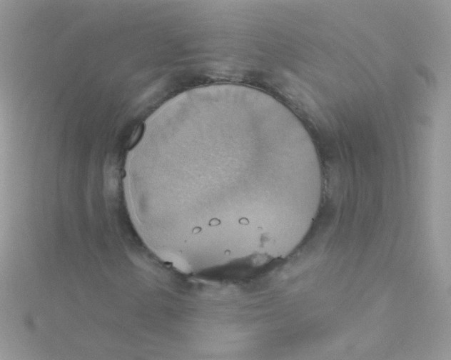 X0000115421154200911241342