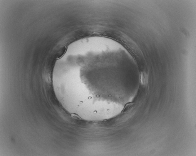 X0000115421155200911241342