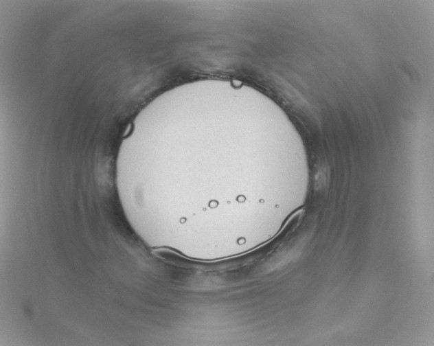 X0000115421156200911241342