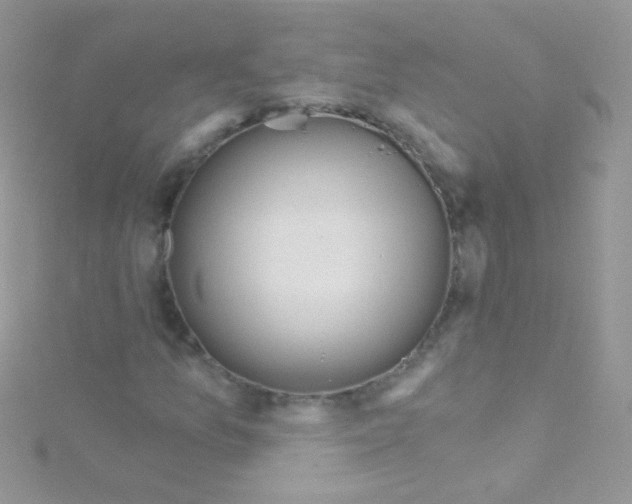 X0000115421157200911241342