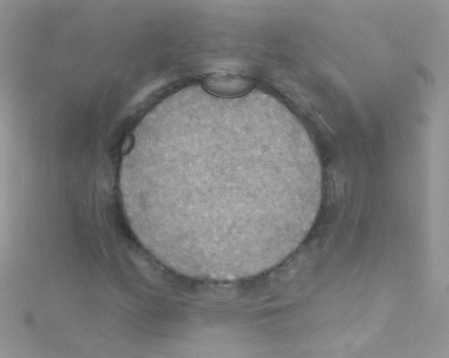 X0000115421158200911241342