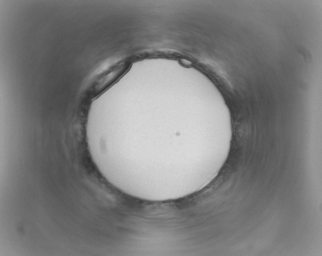 X0000115421159200911241342