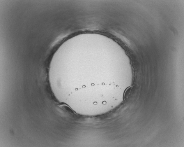 X0000115421160200911241342