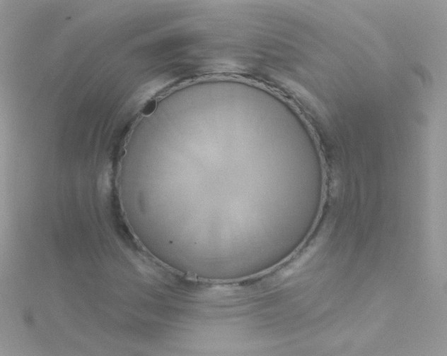 X0000115421161200911241342