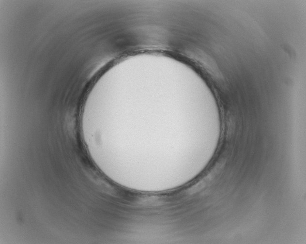 X0000115421162200911241342