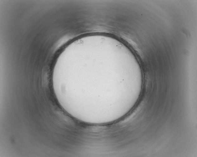 X0000115421163200911241342