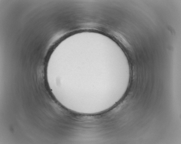 X0000115421164200911241342