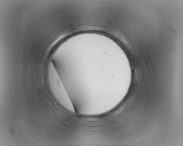 X0000115421165200911241342