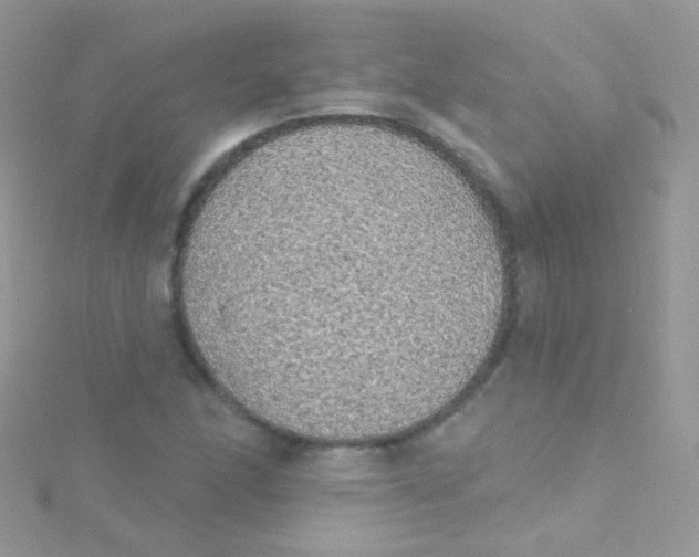 X0000115421166200911241342