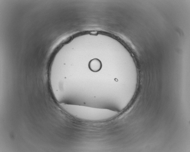 X0000115421167200911241342