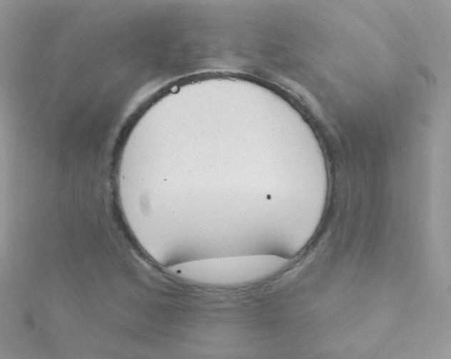 X0000115421168200911241342