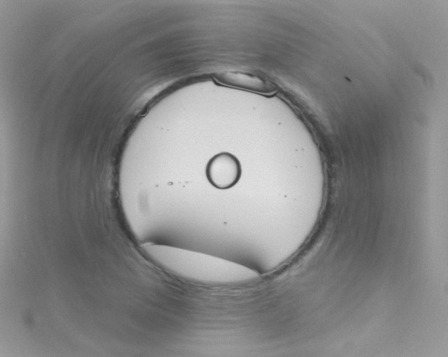 X0000115421169200911241342